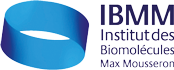 Institut des Biomolécules Max Mousseron